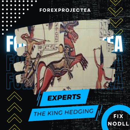 The king Hedging Forex v2.0 MT4